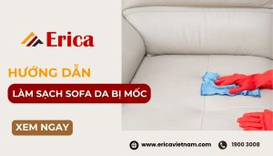 Cách làm sạch ghế sopha da bị mốc