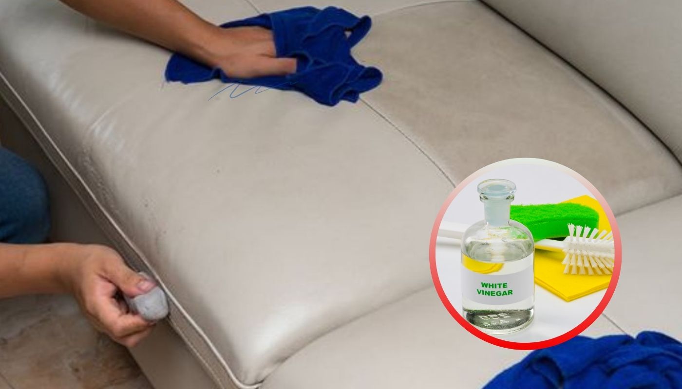 Cách vệ sinh vết mực nhanh chóng nhờ giấm ăn