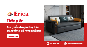 Erica thông tin giá ghế sofa giường trên thị trường dễ mua không