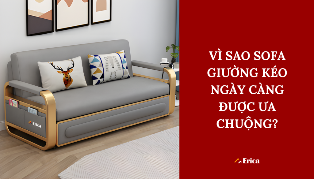Vì sao sofa giường kéo ngày càng được ưa chuộng