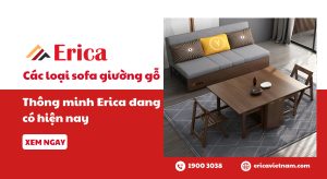 Các loại sofa giường gỗ thông minh Erica đang có hiện nay