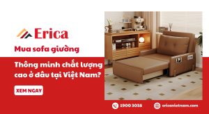 Mua sofa giường thông minh chất lượng cao ở đâu tại Việt Nam