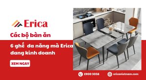 Các bộ bàn ăn 6 ghế đa năng mà Erica đang kinh doanh