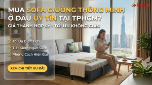 Mua sofa giường thông minh ở đâu uy tín tại TPHCM