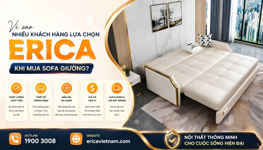Vì sao nhiều khách hàng lựa chọn Erica khi mua sofa giường?