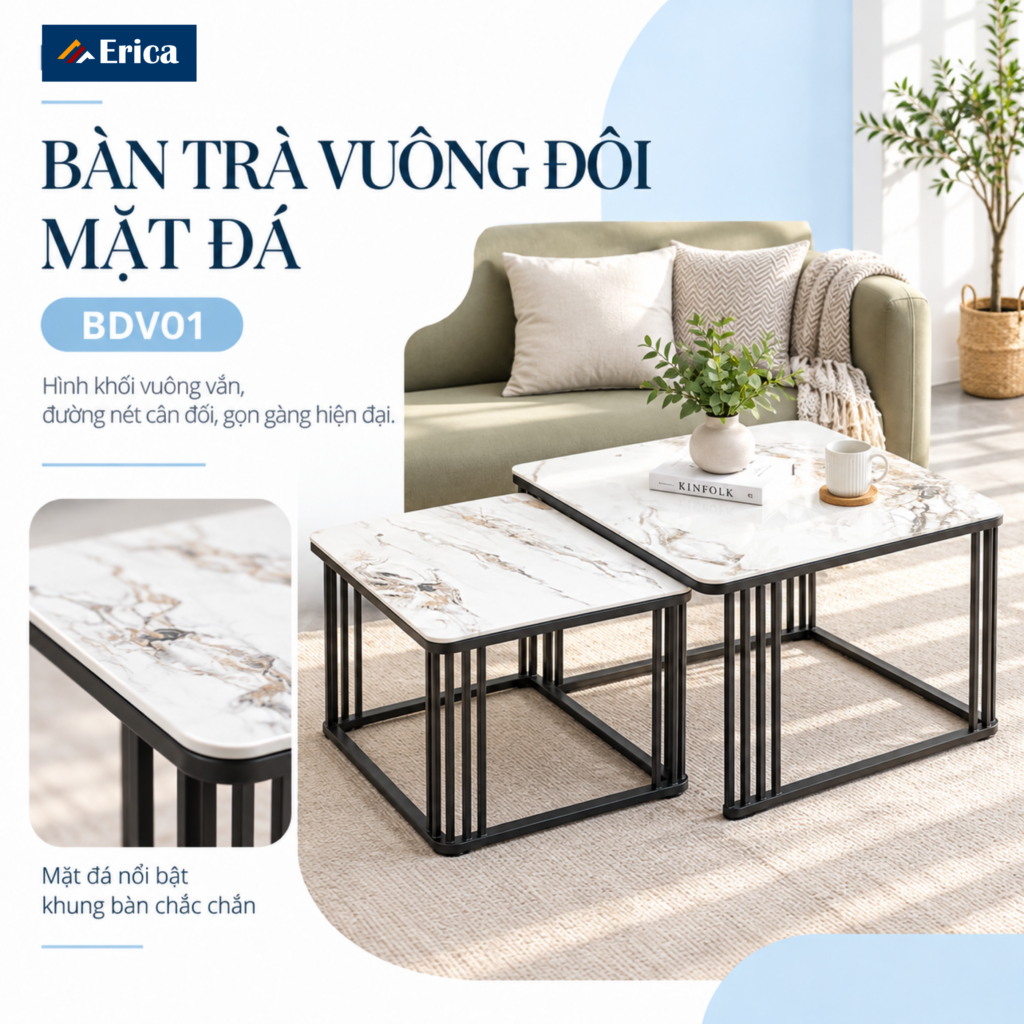 Mẫu BDV01